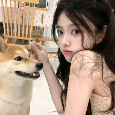绵羊小铃