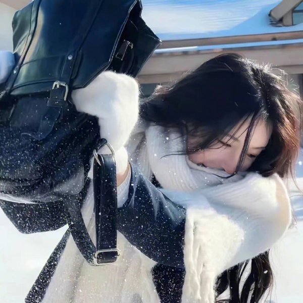 完美拍档2017